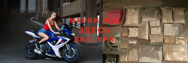 гидра Майский