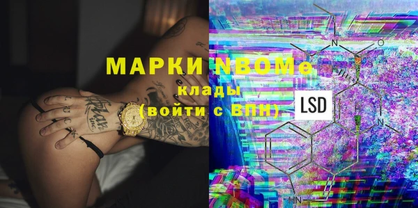 гидра Майский