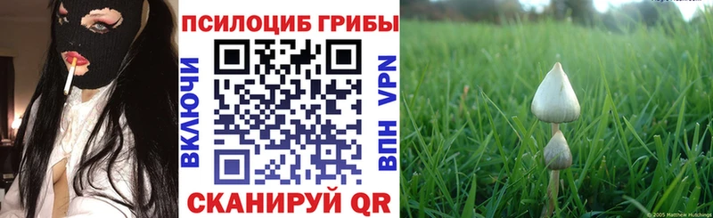 Купить  Орск  Галлюциногенные грибы мухоморы 